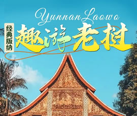 【趣游老撾 · 經(jīng)典版納】—昆明、普洱、西雙版納、磨丁、瑯勃拉邦四動(dòng)8日游